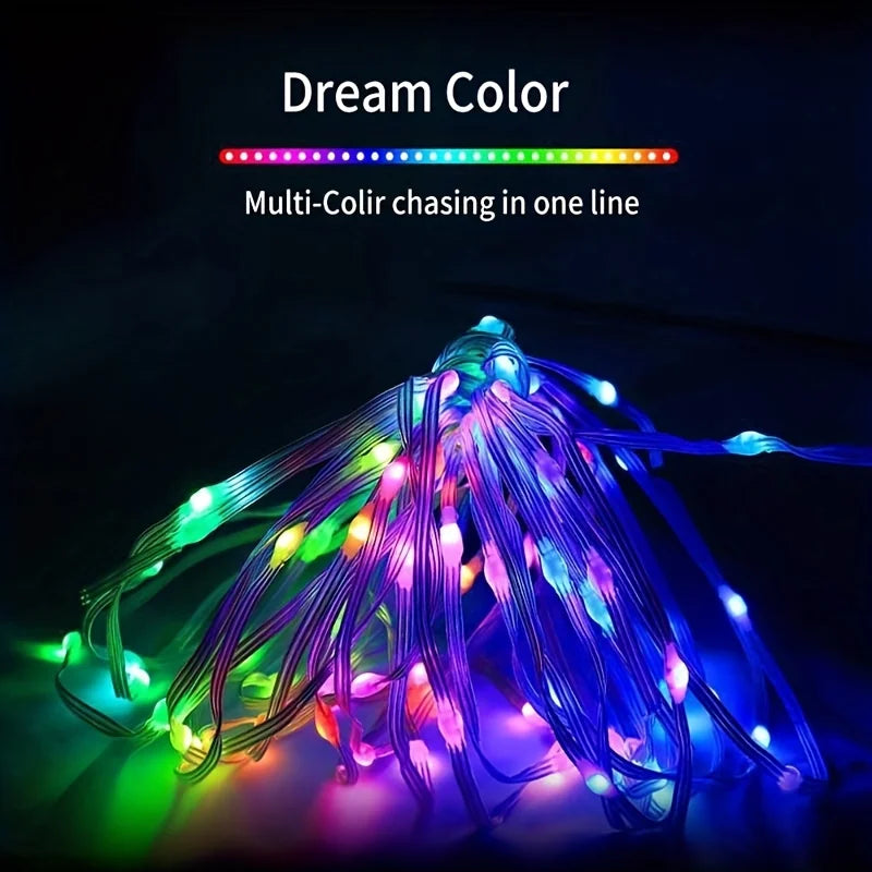 WS2812B LED Fairy String Lights RGB-IC Smart Led Light APP&Remote Control Christmas Wedding Decoration Home DIY Garden Party