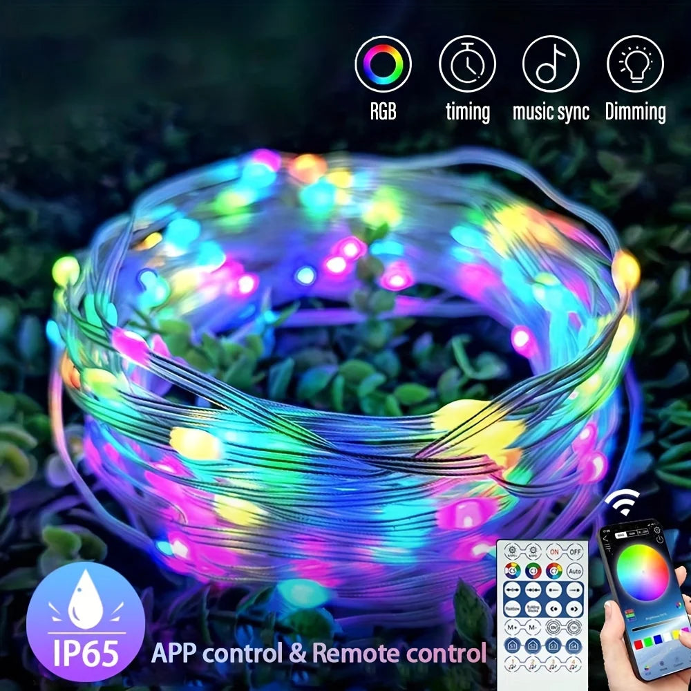 WS2812B LED Fairy String Lights RGB-IC Smart Led Light APP&Remote Control Christmas Wedding Decoration Home DIY Garden Party