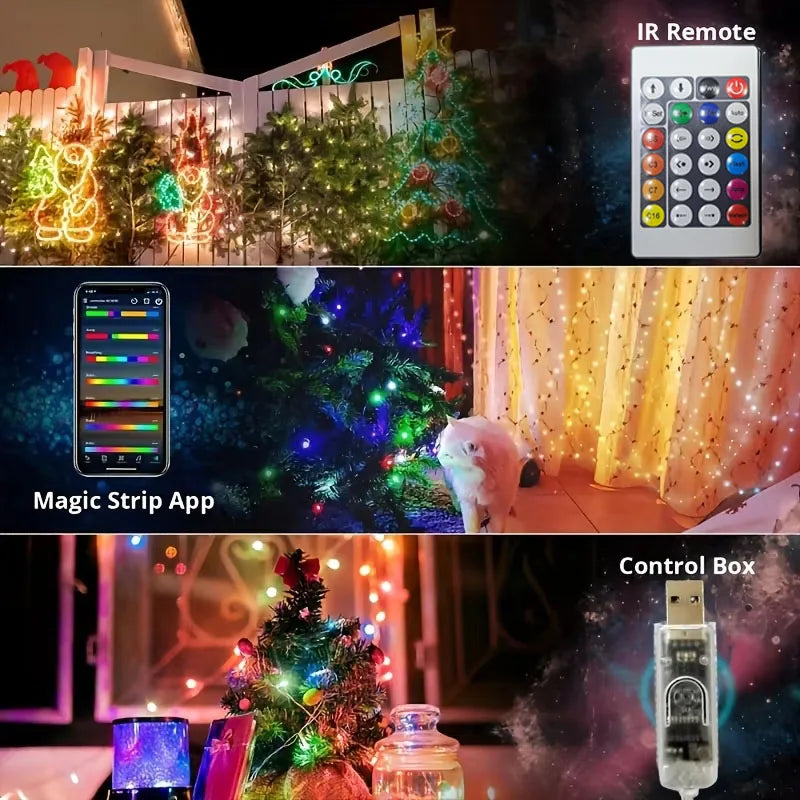 WS2812B LED Fairy String Lights RGB-IC Smart Led Light APP&Remote Control Christmas Wedding Decoration Home DIY Garden Party